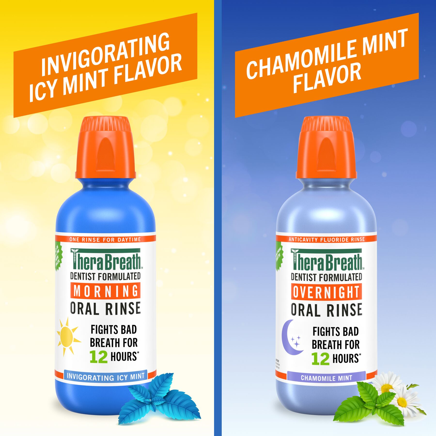 TheraBreath AM + PM Mouthwash Bundle, Morning & Overnight Rinses, 16 fl oz, 2-Pack (K1P4)