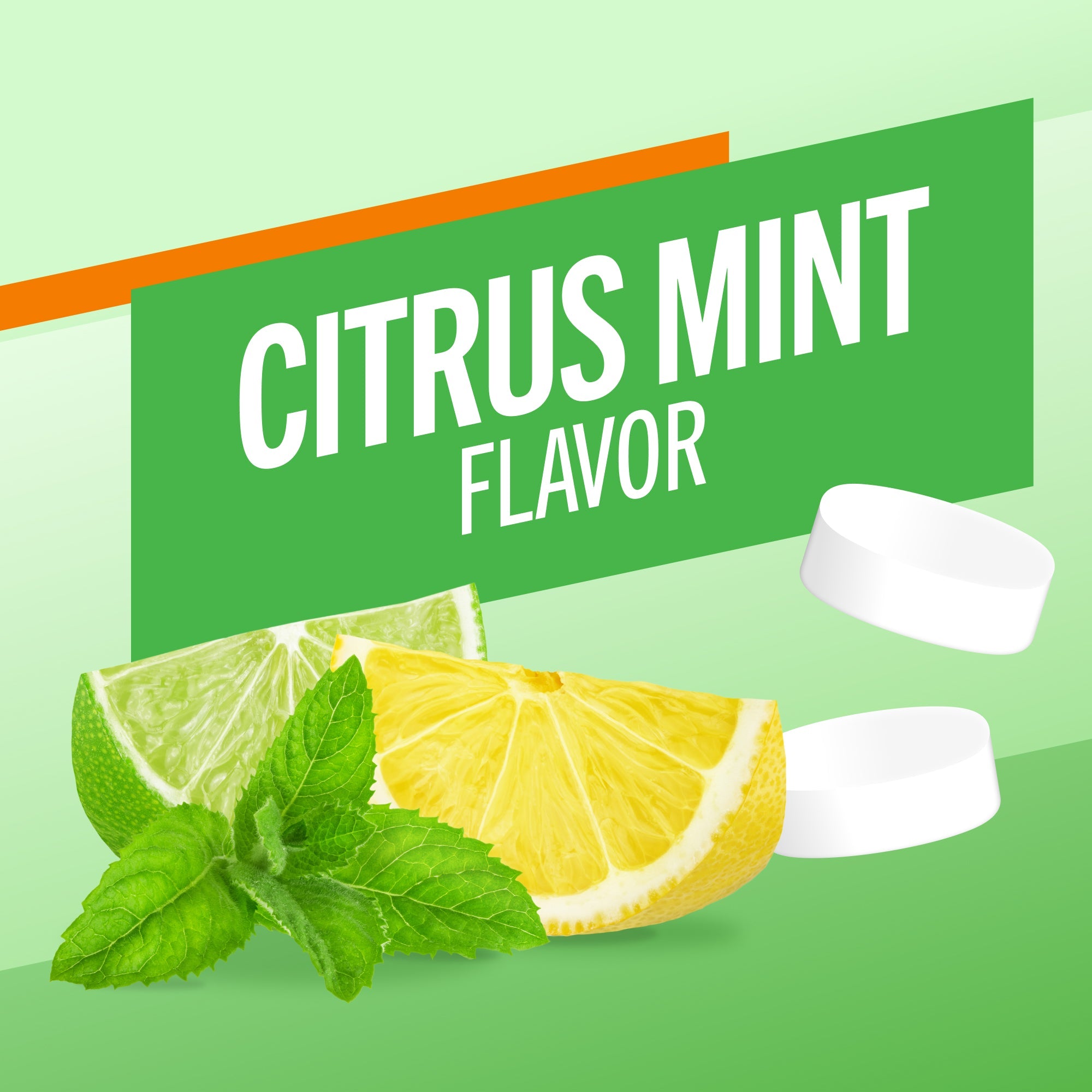 Fresh Breath Chewing Gum, Citrus Mint Flavor (T2DN)
