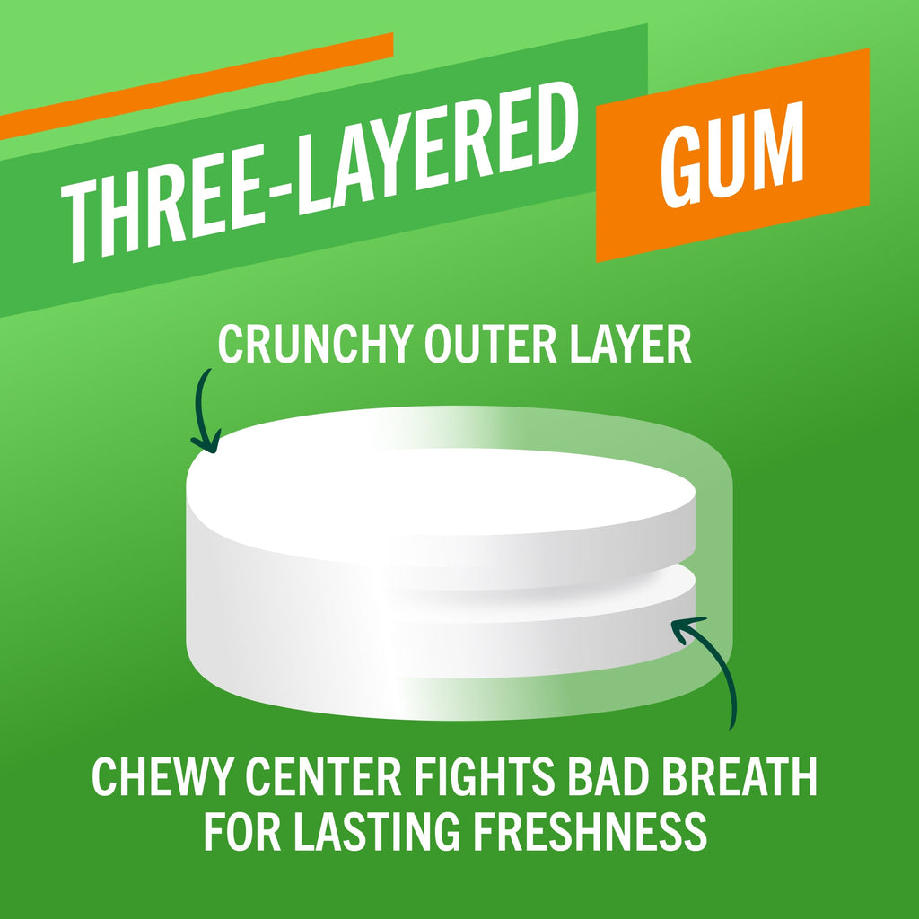 Fresh Breath Chewing Gum, Citrus Mint Flavor (T2DN)