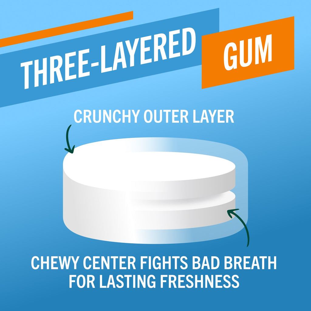 Chewing Gum, Invigorating Icy Mint Flavor (DG9A)
